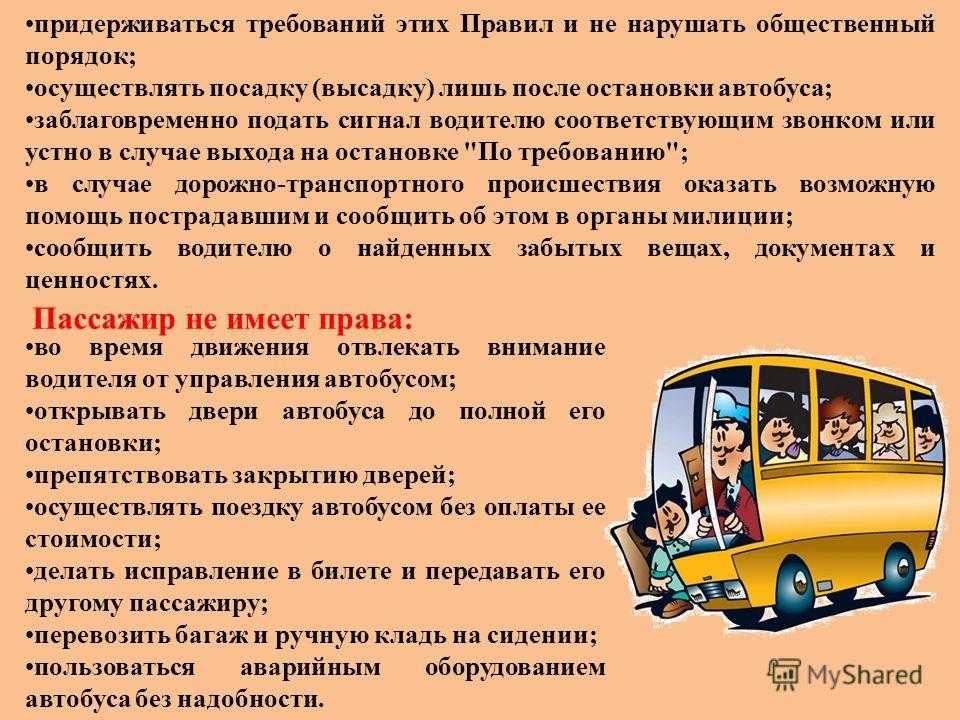 Требования к водителю школьного автобуса