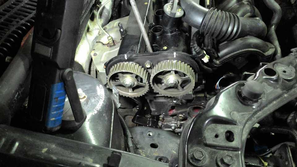Замена ремня двигателя грм на ford focus-2 своими руками