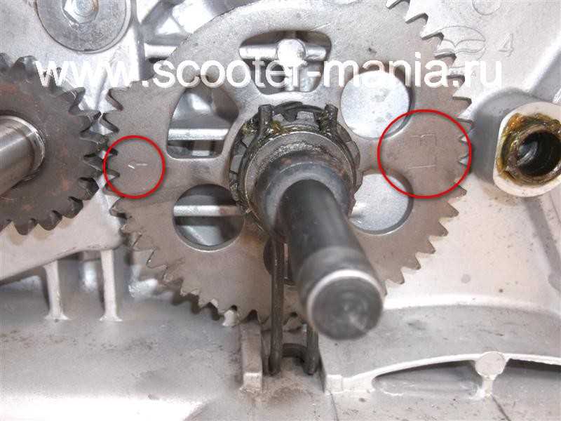 139qmb (двигатель скутера): характеристика и устройство