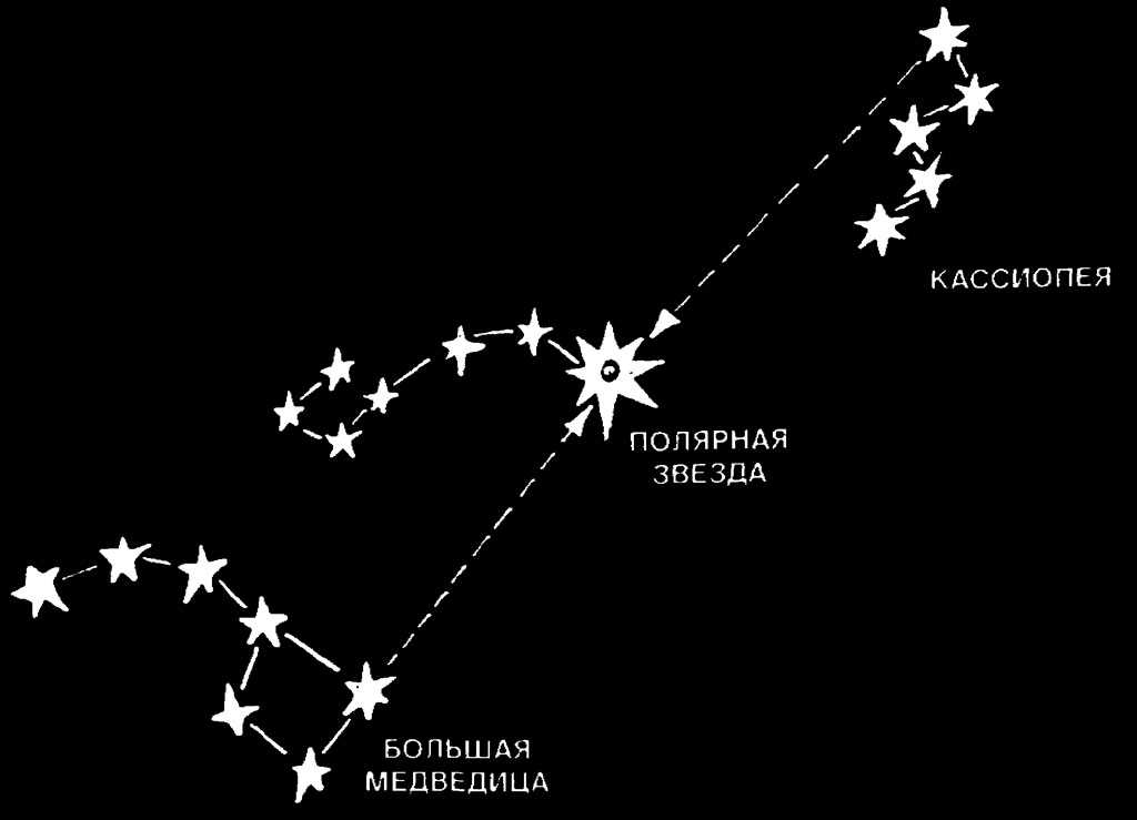 Полярная звезда на звездном небе. Полярная звезда по Ковшу большой медведицы. Большая Медведица Кассиопея и Полярная звезда. Большая и малая Медведица звёзды в созвездии. Звёзды ковша малой медведицы.